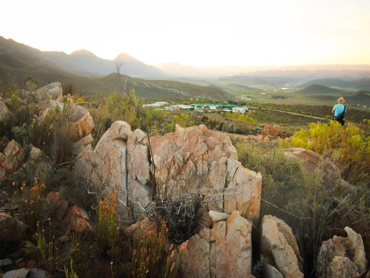 Vila Starry Starry Night - Route 62 Montagu Exteriér fotografie