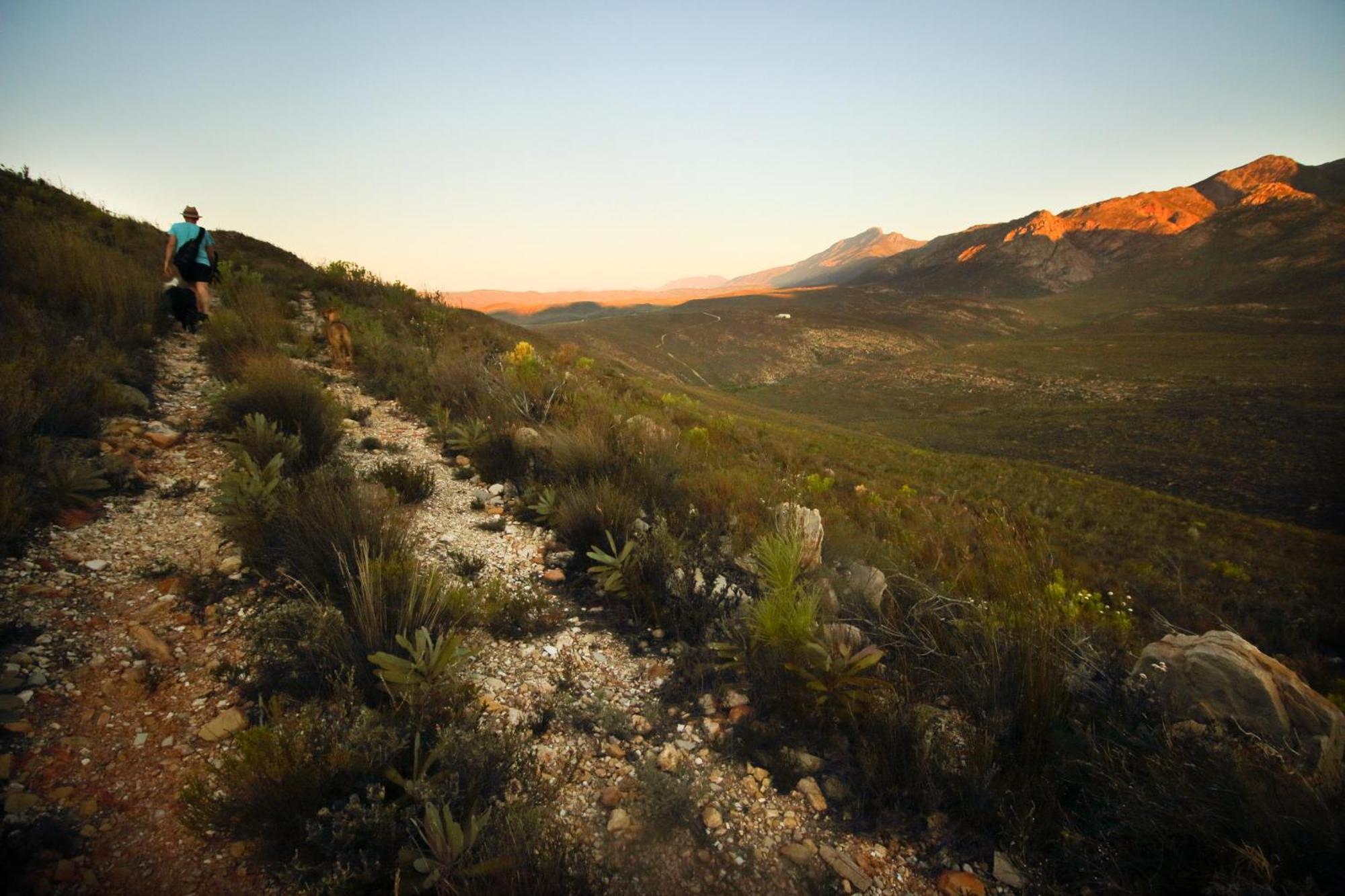 Vila Starry Starry Night - Route 62 Montagu Exteriér fotografie