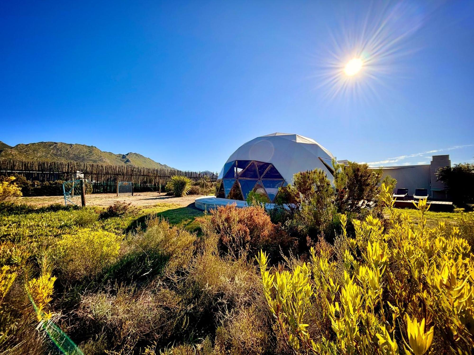 Vila Starry Starry Night - Route 62 Montagu Exteriér fotografie